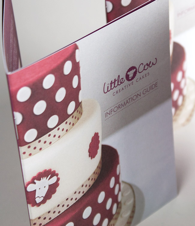 A6 8 page information booklet design by Wetdog Creative in Cornwall
